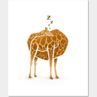 Sleeping Giraffe Posters and Art